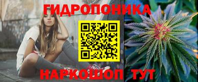 стаф Донецк