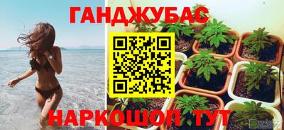 стаф Донецк