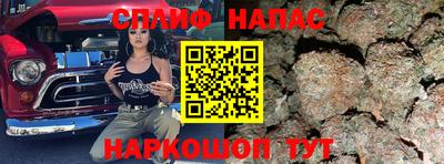стаф Донецк