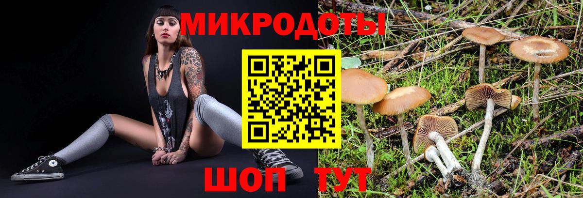 Псилоцибиновые грибы мицелий  Вход с VPN  Людиново 